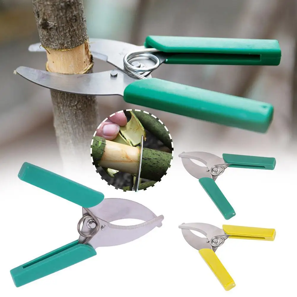 

1pcs Peeling Tool Scissor Fruit Tree Peeling And Gardening Scissors Grape Peeling And Cutting Branch Cutting