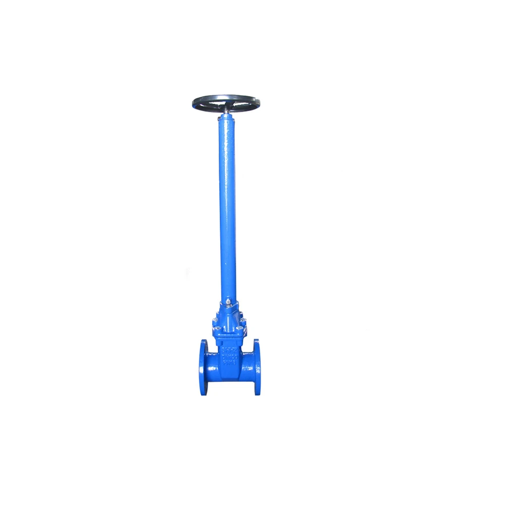 

OEM cast iron gate valve 100mm gate valve price extension spindle gate valve