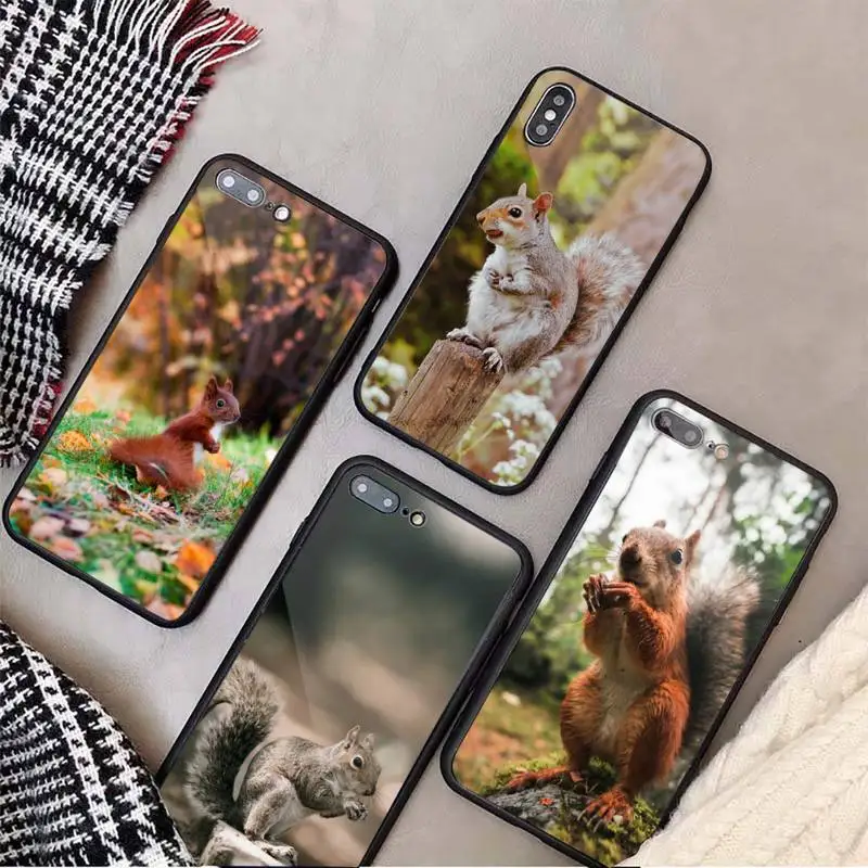 

Squirrel cute animal Phone Case Tempered glass For iphone 11 12 13 PRO MAX mini 6 7 8 plus X XS XR