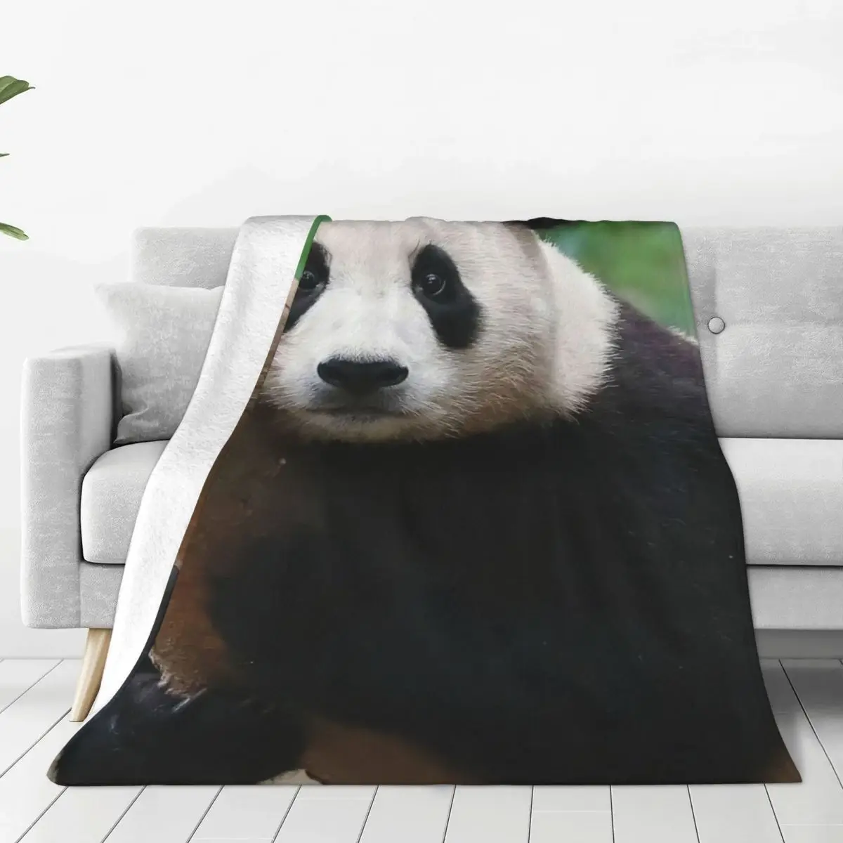 

Fubao Aibao Panda Fu Bao Blanket Soft Plush Flannel Fleece Throw Blankets for Easy Care Machine Affordable