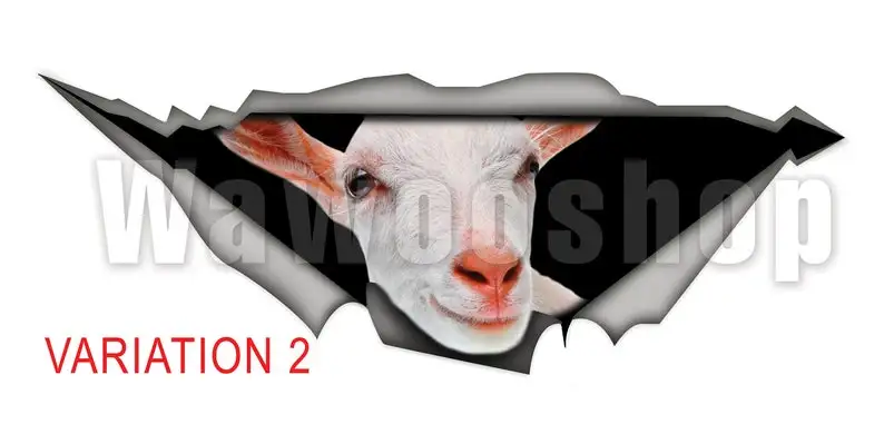 

Saanen goat decal, car decal, farm decal, goat sticker, saanen sticker