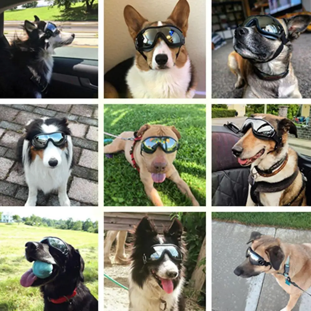 

Adjustable Pet Dog Goggles Glasses Anti-uv Glasses Supplies Windproof Dog Eye Waterproof Glasses Pet W C7f9