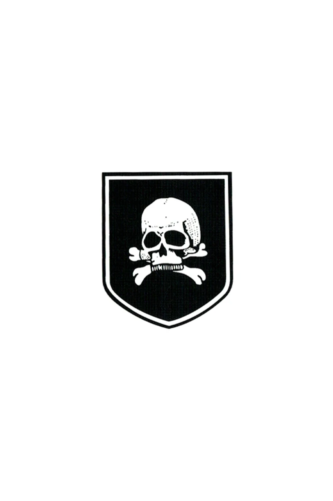 

GIH-013 WWII German Totenkopf helmet decal