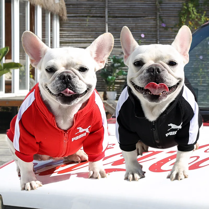 

2022 New Winter Warm Clothes Pet Sports Clothing For Small Medium Dogs Plus Velvet Cats Zipper Leisure Sweater Coat French Bulld