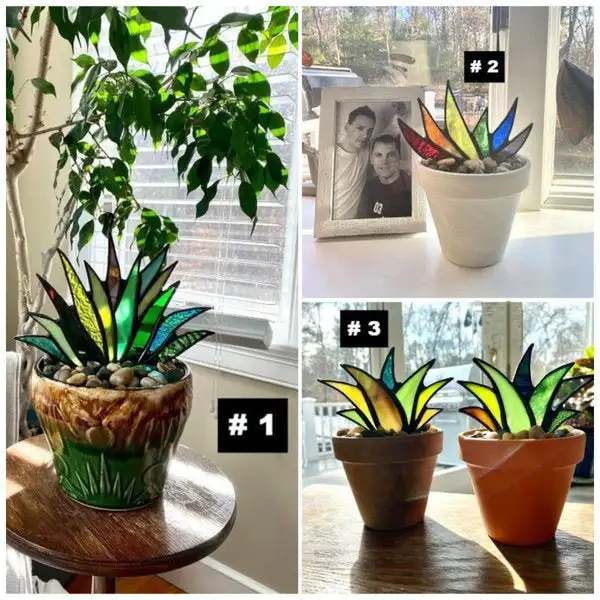 

Ловец Солнца, окрашенный агавом, цветочный горшок, орнамент, акриловый суккулент, Декор для дома и офиса, ручная работа