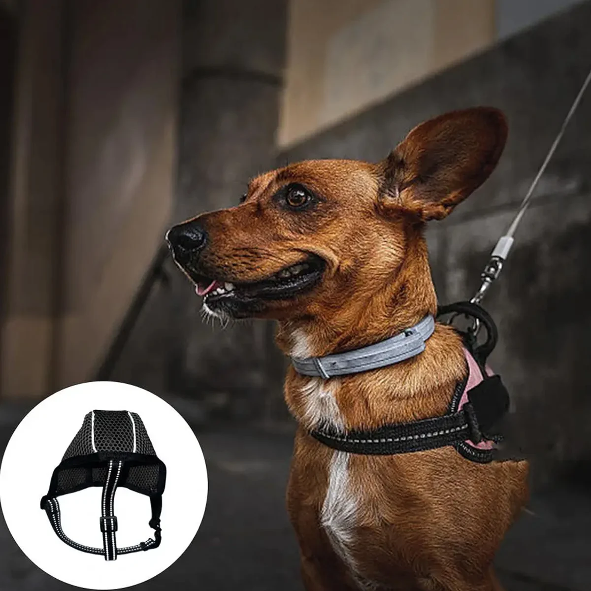 Жевательная намордник для собак дышащая сетка средних регулируемая защита от