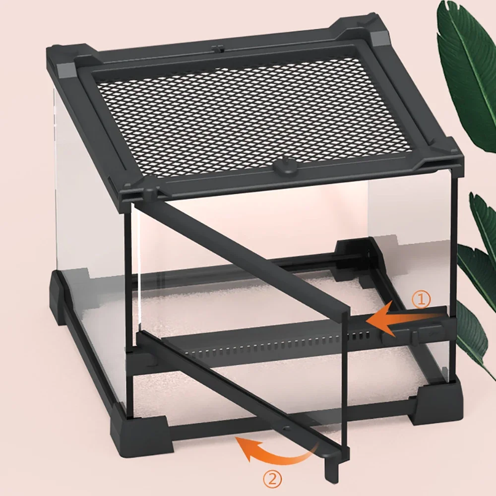 Ящик для разведения домашних животных-амфибия экологический пейзаж закаленное