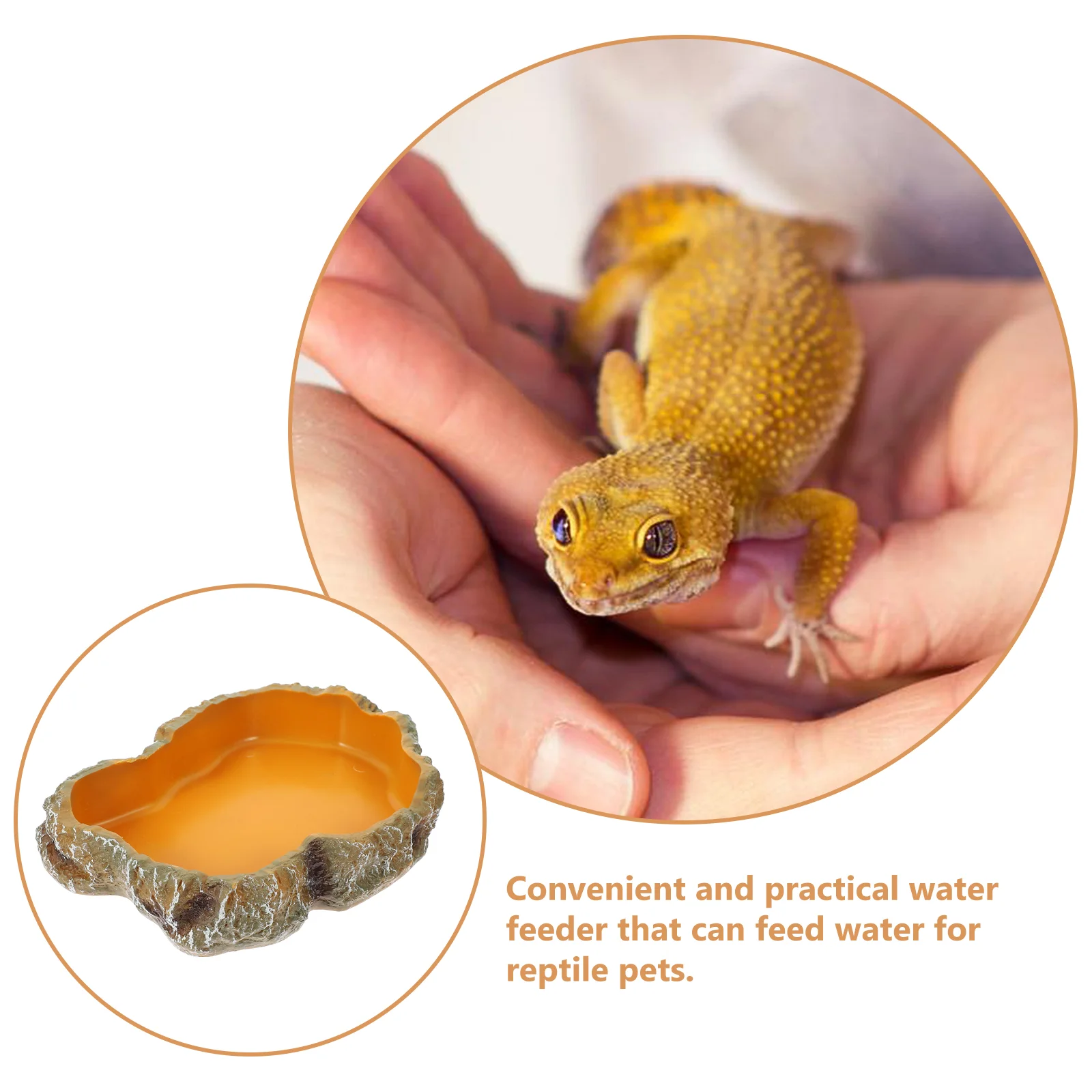 Черепаха еда рептилия тепловая лампа чаша для скалолазания миска домашних