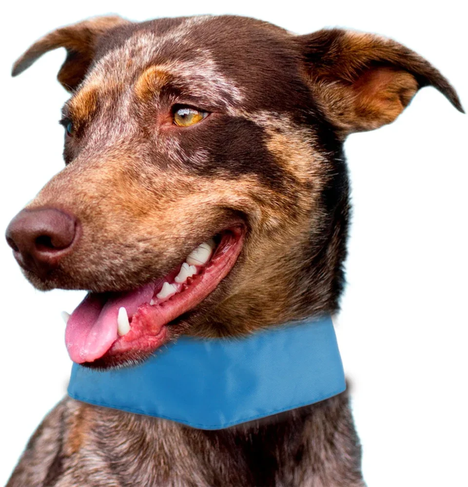 

Insert Able And Adjustable Cooling Ice Pack Dog Neck Wrap