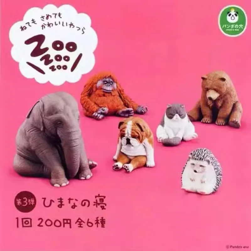 Zoo Series Gashapon Toys Собака Медведь Кошка Слон Ежик Горилла Креативная Модель Украшения