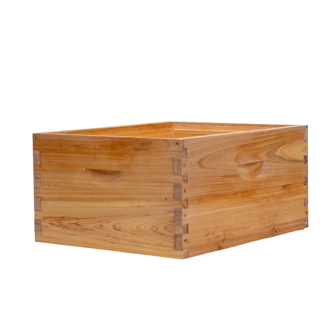 Высококачественная нижняя доска с медовым экраном 2 слоя коробка для пчелиного