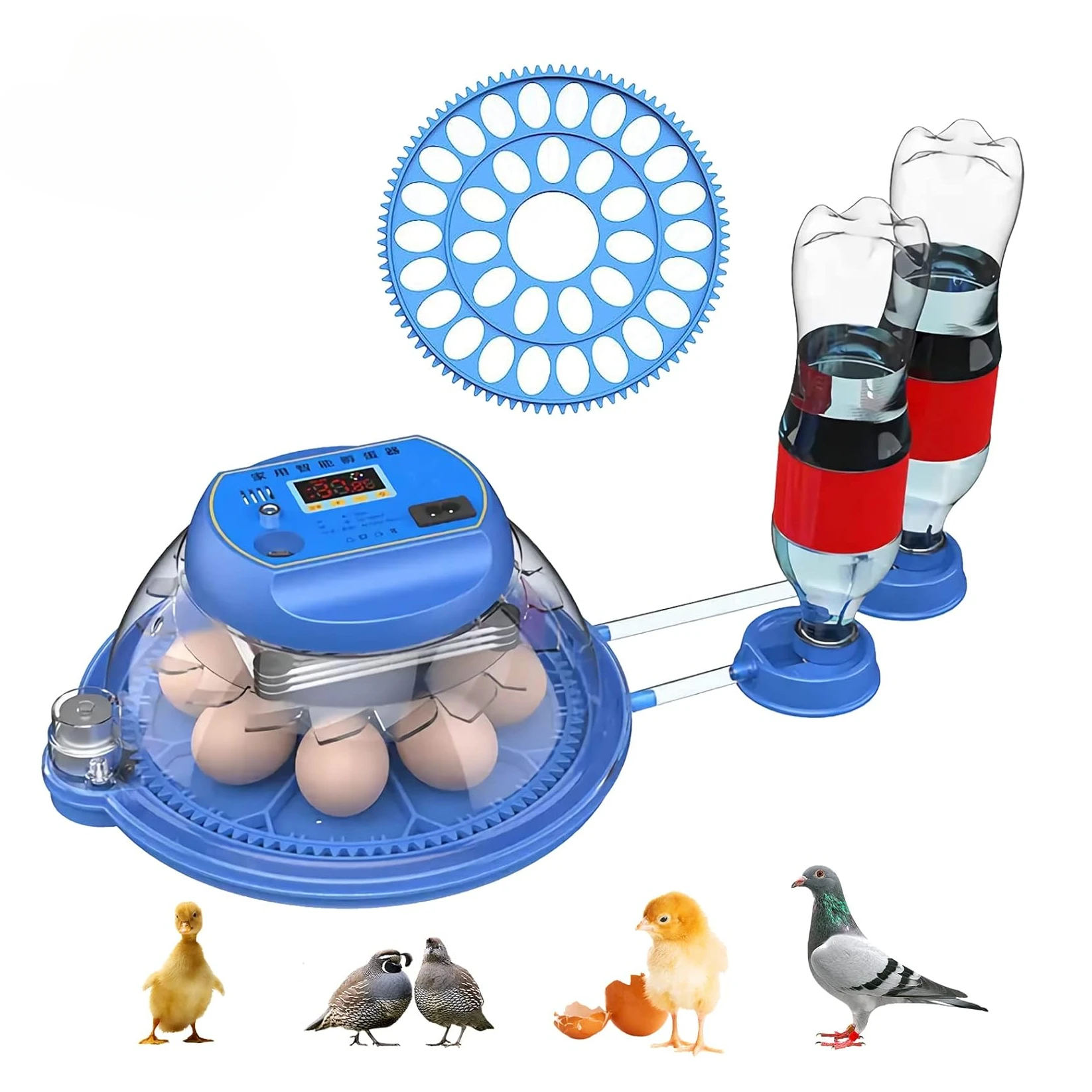 Автоматическое вращение птиц и спасательных кругов