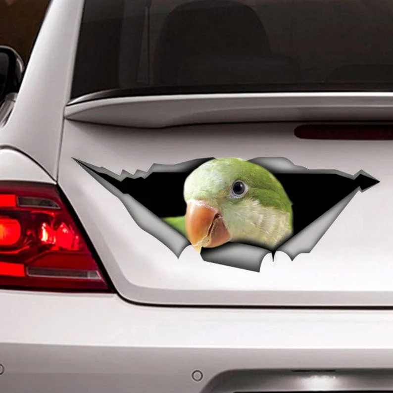 

quaker parakeet decal, parrot sticker, car decal, green bird decal