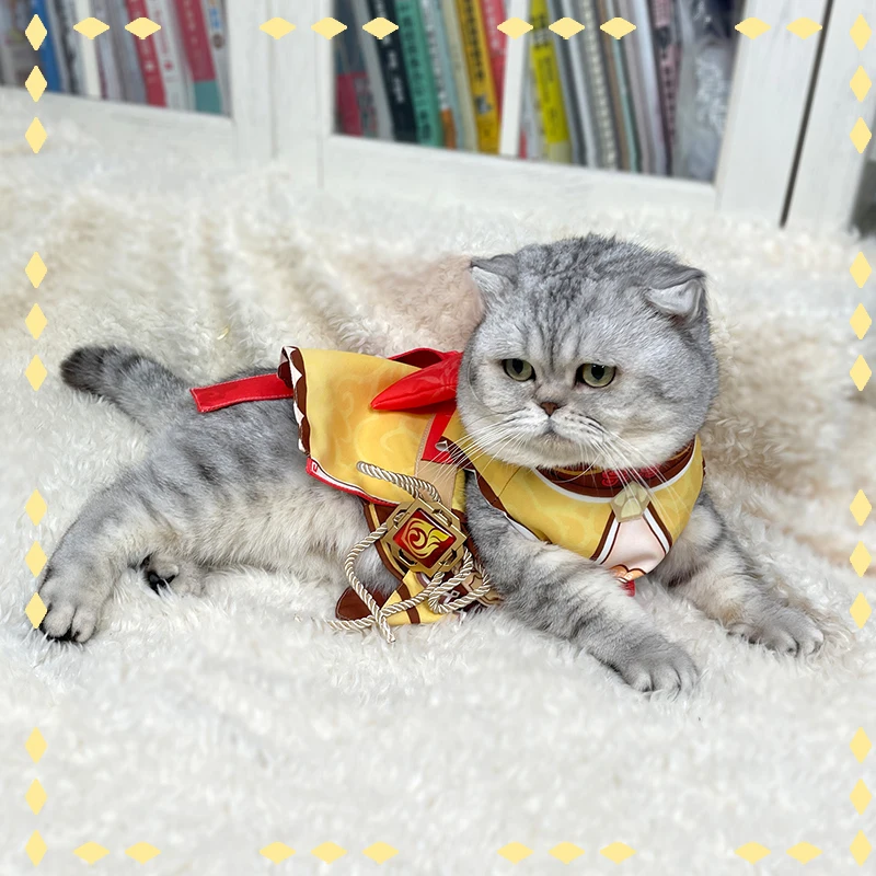 

Аниме, одежда для домашних животных Genshin