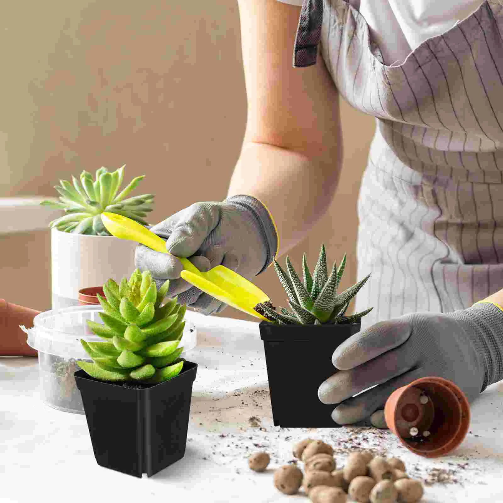 

50 Pcs Plastic Pots Small Square Nursery Planters Flower Pots for Succulents Seedlings Flowers Vegetables Plants Cactus