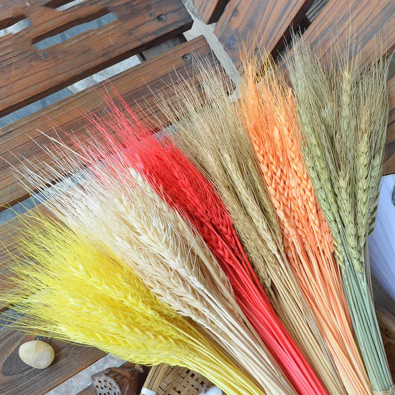 

100pcs Real Wheat Ear Flower Ornaments Natural Dried Flowers Bouquet Wedding Decoration for Party Christmas Home Decor DIY Craft