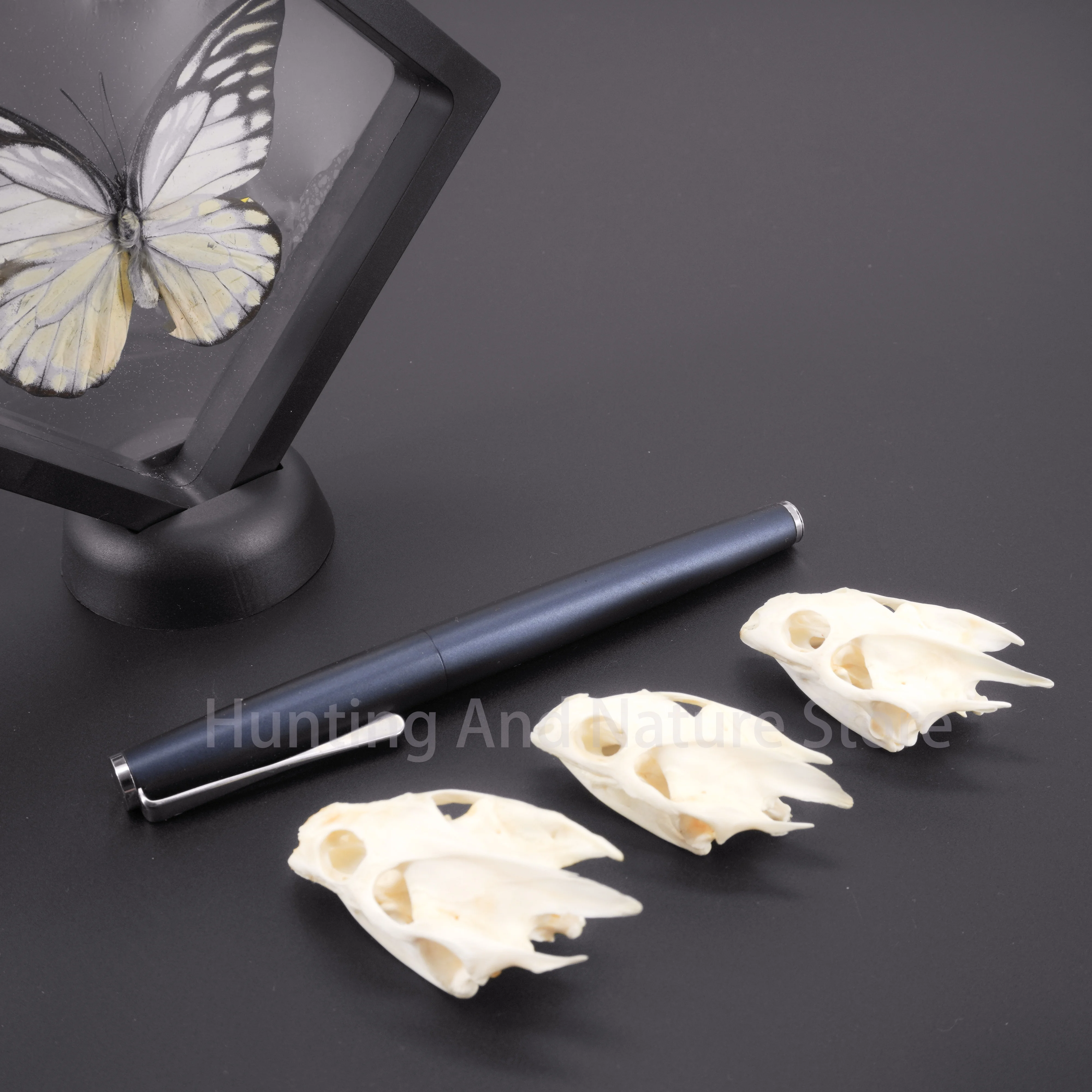 

1/2/3/5/10 шт., декоративная коллекция черепа