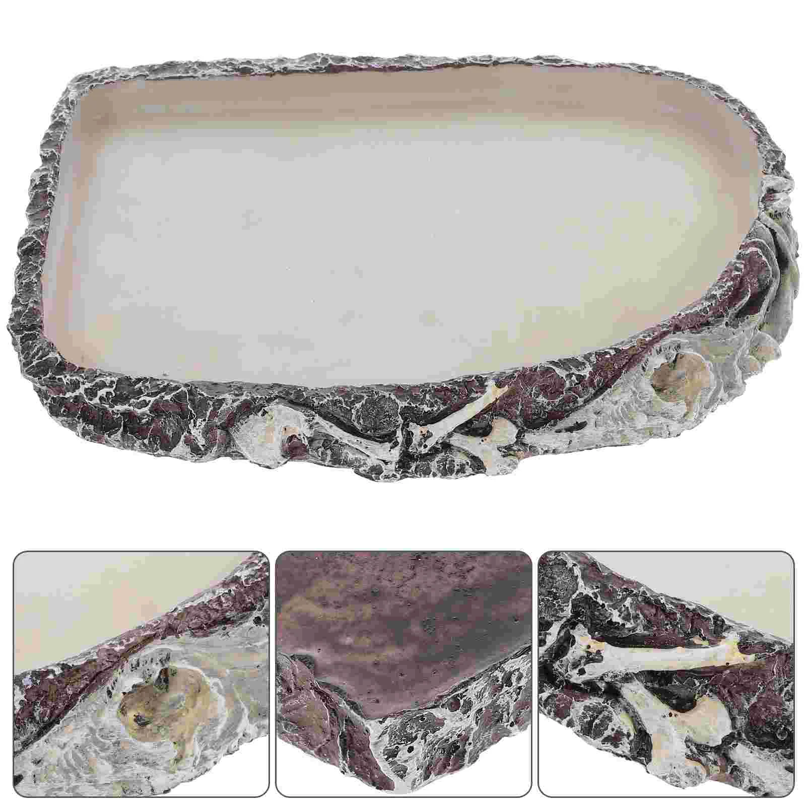 Ящерица Змея Бассейн для воды Рептилия Миска еды Смола Блюдо Животное Борода