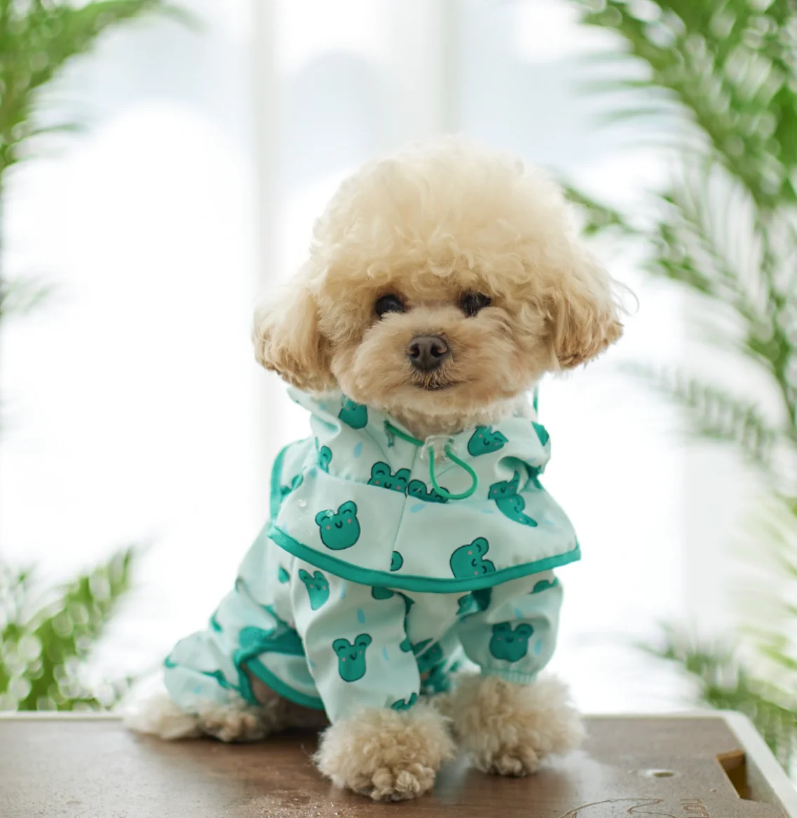 Pet Dog Raincoat Waterproof Pet Clothing Cute Duck Frog Print Detachable Hat Outdoor Dog Jacket Coat Water Resistant Pet Clothes