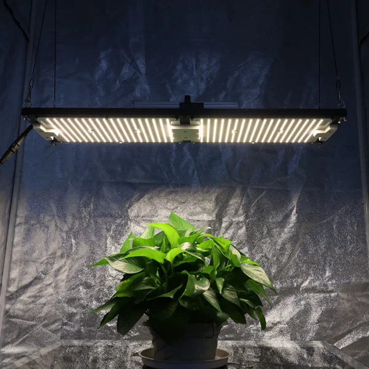 KingBrite светодиодный King Brite 240 Вт Samsung lm301h 3000K/3500K/4000K светильник V4 Board Led Grow Light лампа