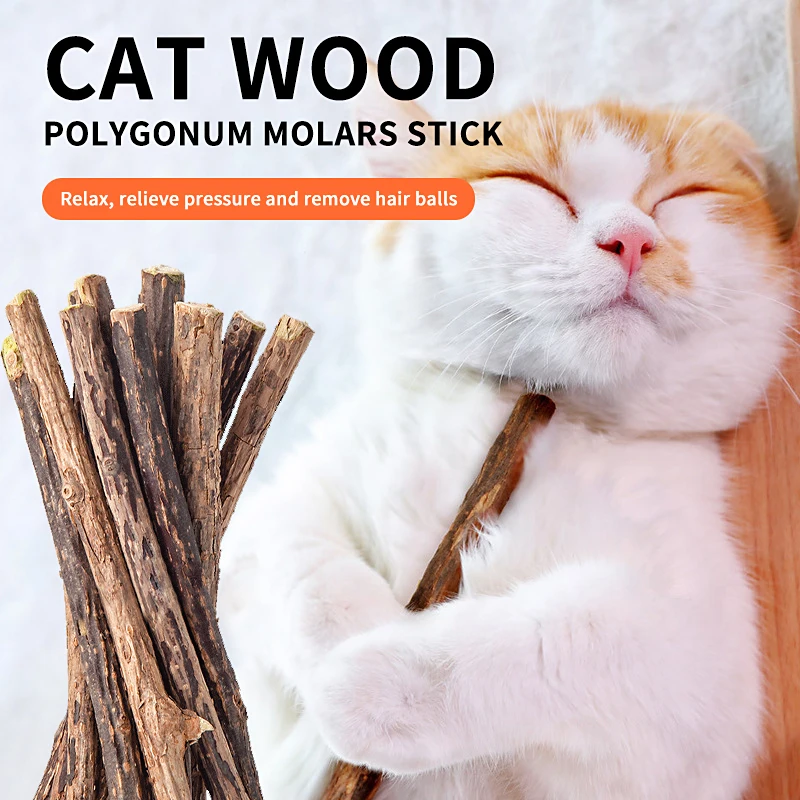

New Natural Catnip Pet Cat Molar Toothpaste Stick Matatabi Actinidia Fruit Silvervine Cat Snacks Sticks Pet Cleaning Teeth