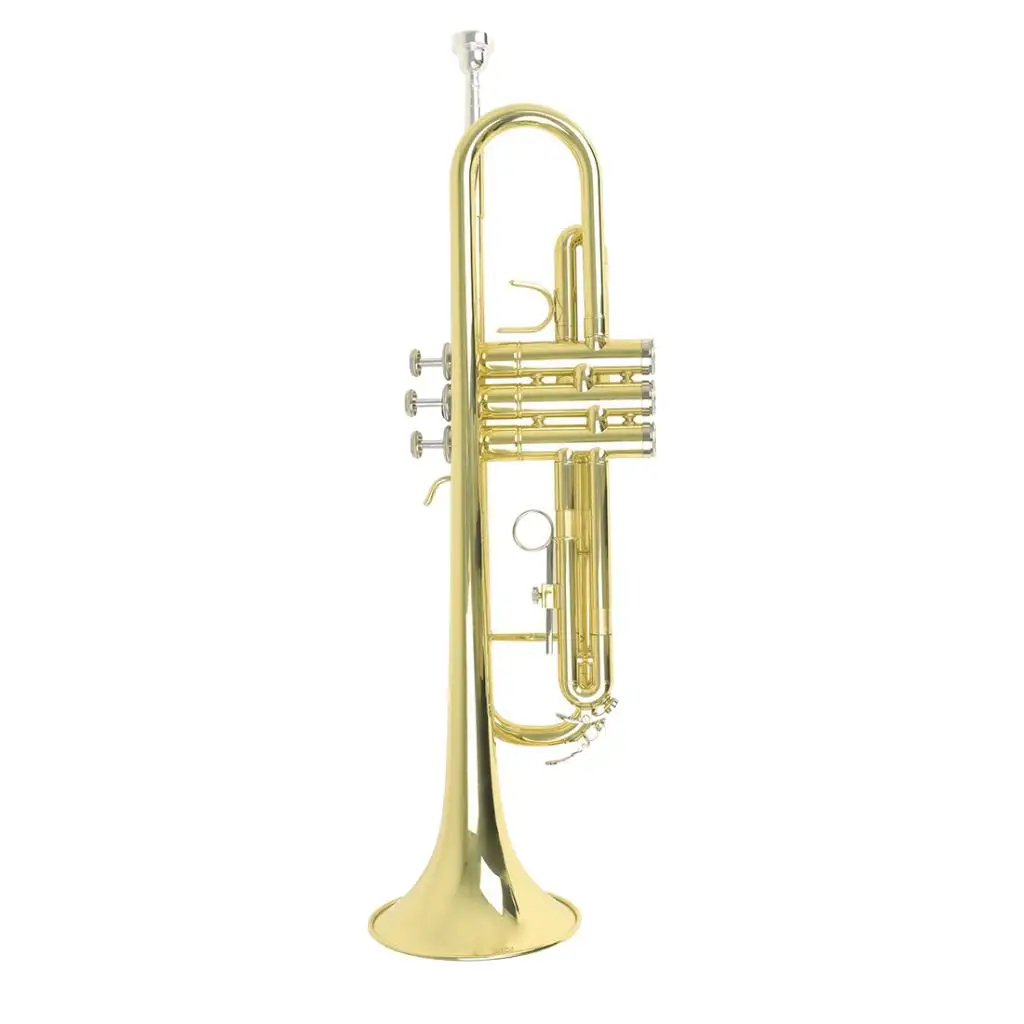 

Trumpet In B Flat Trumpet Horn Instrument For Fanfare Drum Body