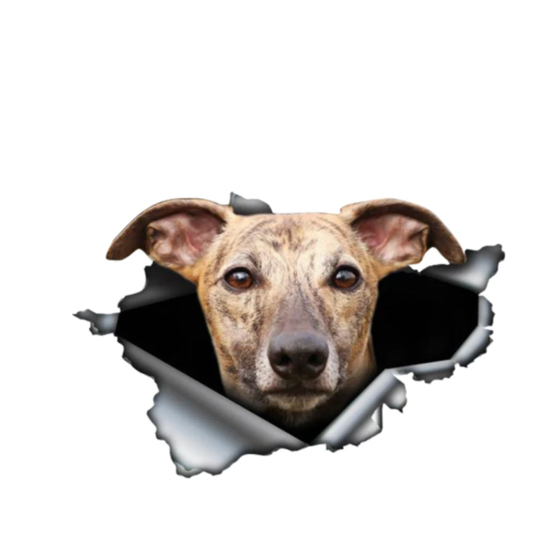 

Y408# Personality Brindle Greyhound Dog 3D Vinyl Waterproof Car Window High Quality Accessories Vinyl Decorative PVC