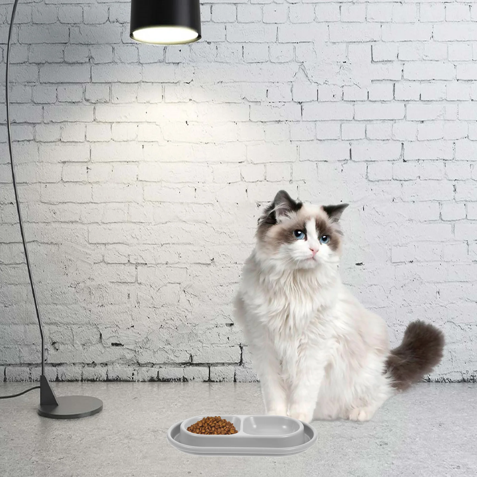 Миски для кошачьего корма Ant-Ant домашних животных щенков маленьких собак