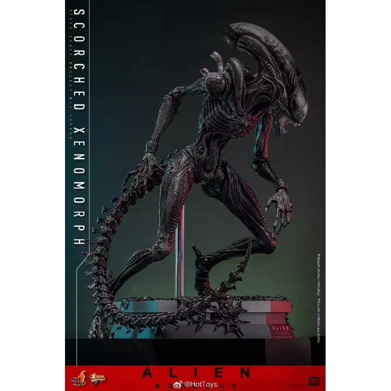 Фото Коллекционная фигурка HotToys HT 1/6 Scorched Xenomorph MMS784 Alien Romulus, подвижная модель для коллекционеров фигурок. №3