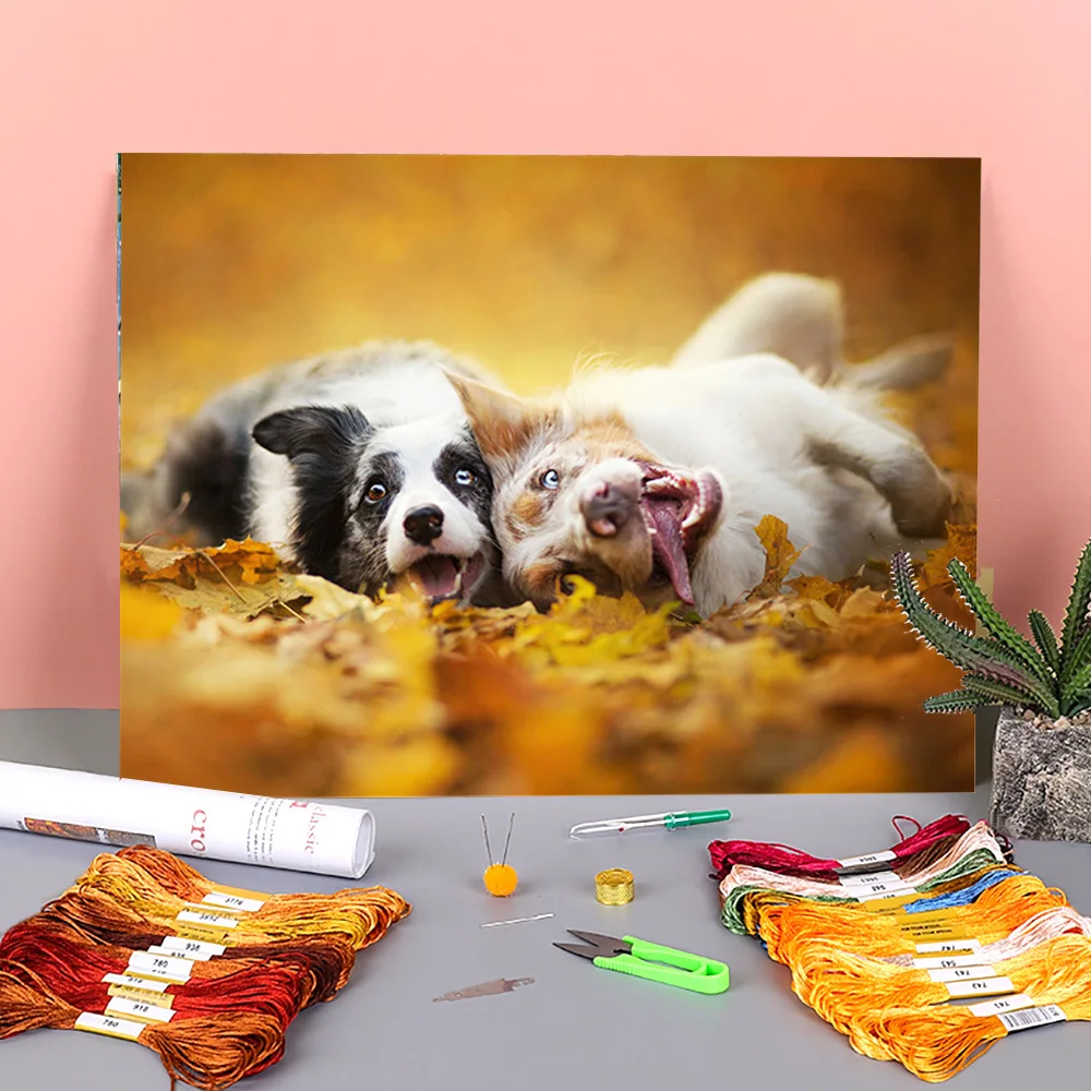 

Animal Border Collie Printed Canvas 11CT Cross Stitch Complete Kit DIY Embroidery DMC Threads Handiwork Knitting Needle