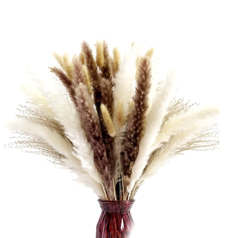 

Natural Dried Pampas Grass, 65Pcs Pampas Grass Decor, Pompous Grass Plants for Wedding Kitchen Yard Home Decor