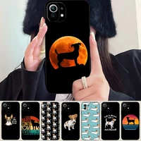 jack russell terrier dog phone case for xiaomi note 10pro pocof3 x3 gt m3 m4pro redmi note 11 10 9 s pro plus poco x3 nfc funda