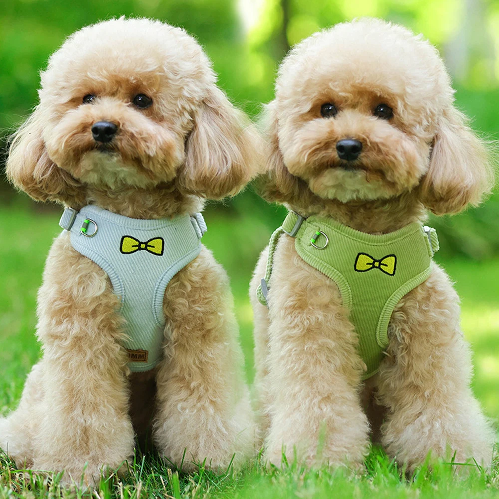 

Corduroy Autumn Outdoor Dog Harness Vest Chest Harness Chest Strap Reflective Leash Pet Supplies With Ropes Fashion Lovely
