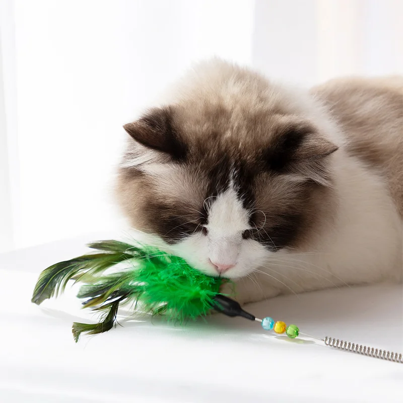 

Cat Feather Toy Cat Colorful Feather Teaser Wand Toy Having Fun Exercise Playing Spring Stick Interactive Toy Pet Supplies