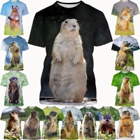 hot sale groundhog 3d printing t shirt summer new funny animal unisex harajuku casual round neck short sleeved t shirt top