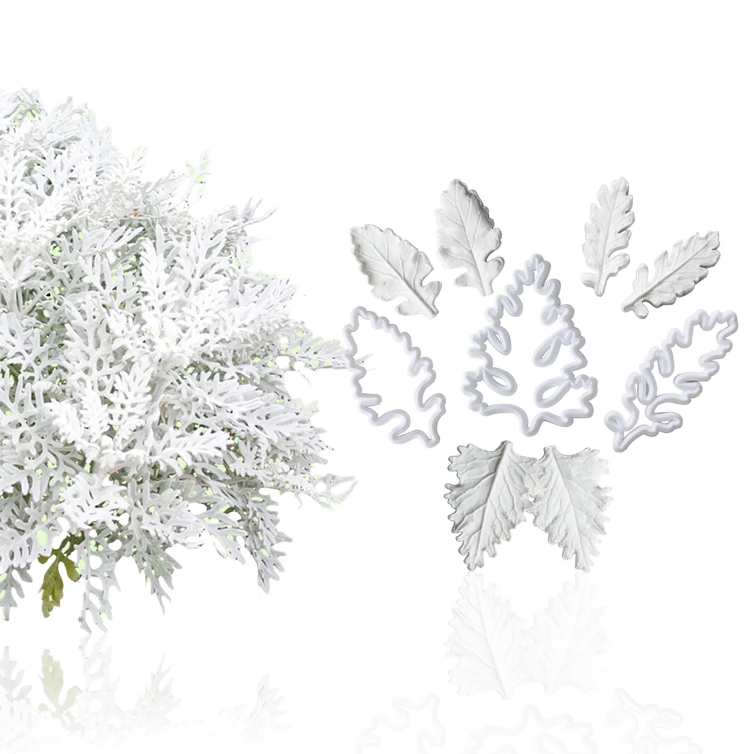 

Набор форм для сахарных цветов Senecio Cineraria