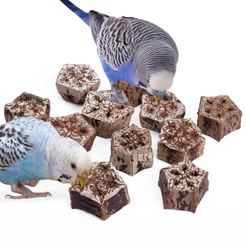 

Pet Parrot Toys Natural Beak Grinding Toy Dried Fruit Blocks for Birds Budgies DropShipping 1