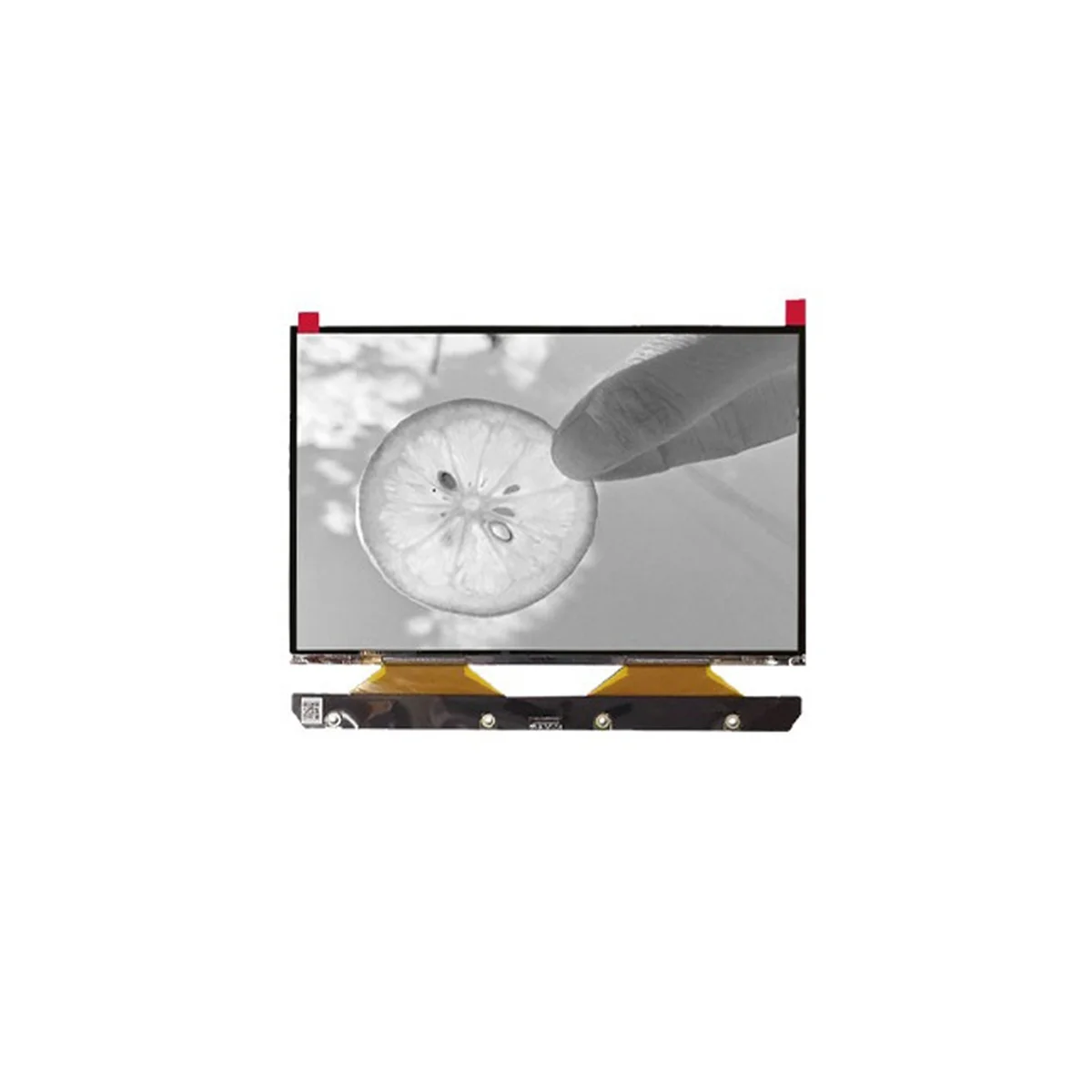 

TM089CFSP01 Monochrome LCD 8.9 Inch 4K Mono LCD Screen with 3840X2400 Resolution LCD Screen MIPI 50PIN for Photon MONO X