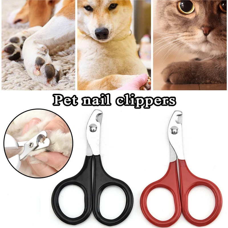 

Cat Nail Clippers For Small Kitten Professional Puppy Claws Cutter Pet Nails Scissors Trimmer Grooming And Care Cat Accessories