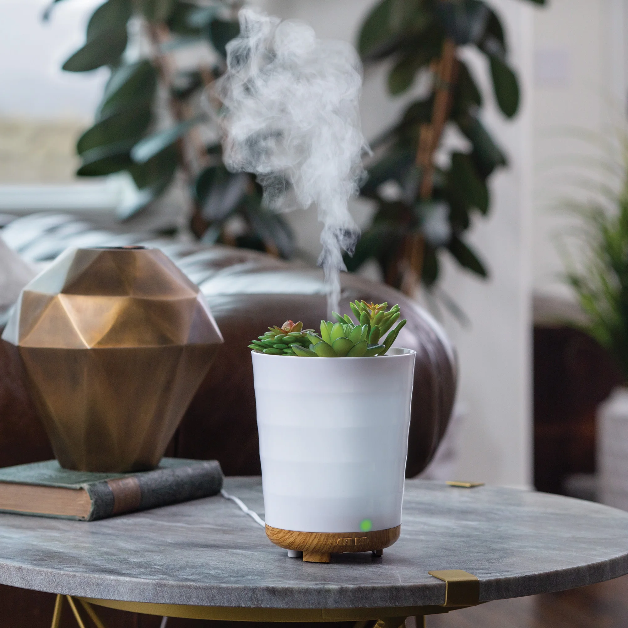 

Potted Succulent 100 mL Essential Oil Diffuser