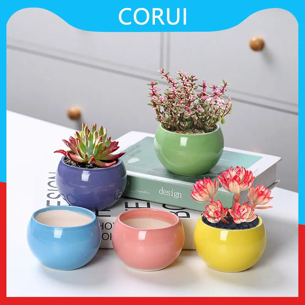 

Double Succulents Flower Pots Planter Creative Vase Green Plants Pot Vase Table Decoration Flower Pots For Garden Home Decor