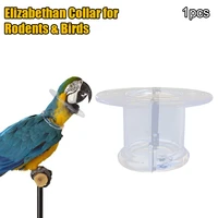 bird protective bead parrot collar anti feather picking ring anti plucking anti grab collars elizabethan collar for rodents bird