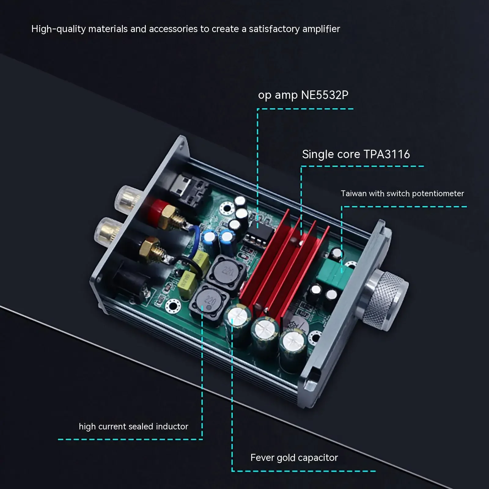 Erilles B3 Mono 100 Вт Усилитель