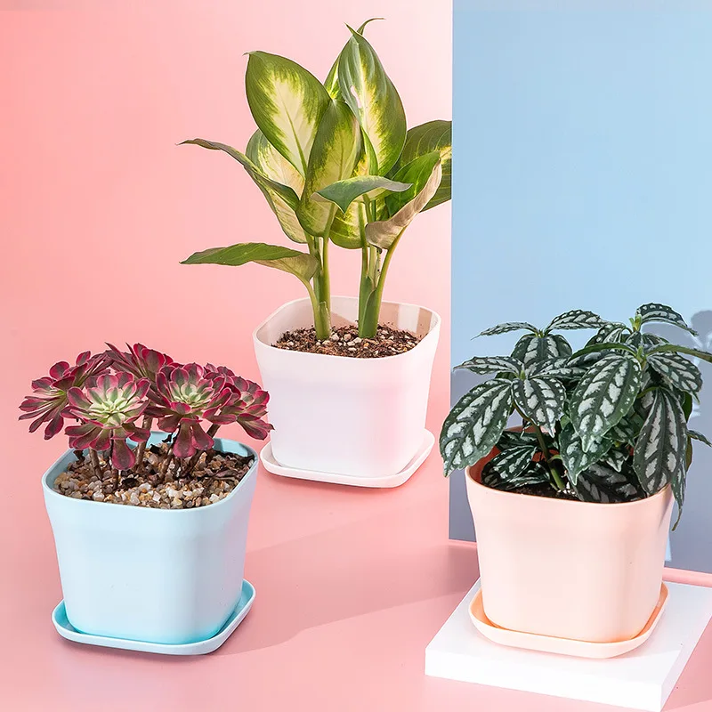 

Succulent Flower Pot 2023 New Seedling Plastic Pot Nordic Simple Resin Thickened Small Square Generous Small Flower Pot