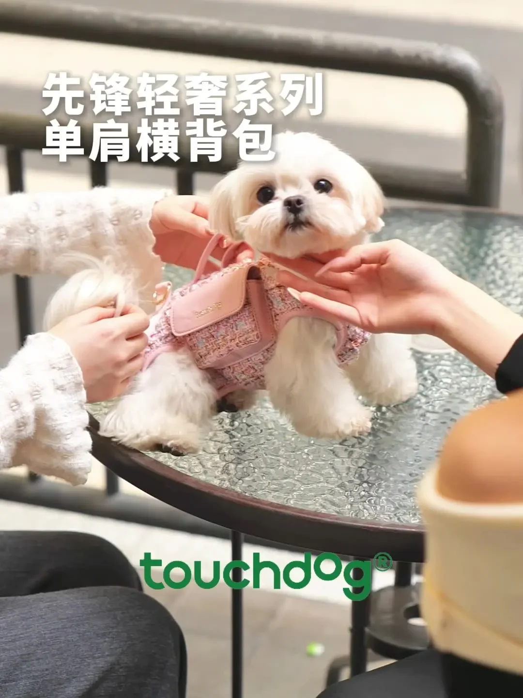 Фото Touchdog It It Маленькая ароматная сумка-рюкзак для собак, сумка для кошек, портативная легкая сумка через плечо для домашних животных. №1