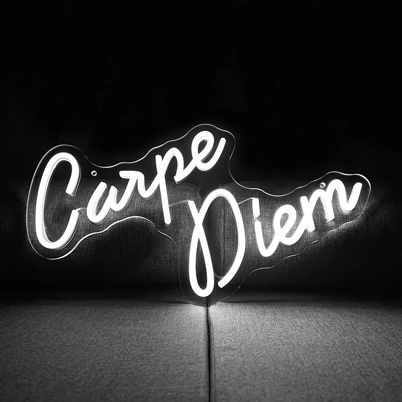 Carpe Diem Letters LED Light Sign Inspirational Neon Signs for Wall Art Decor Personalized Gift “16.9x11.4”Motivational Word LED