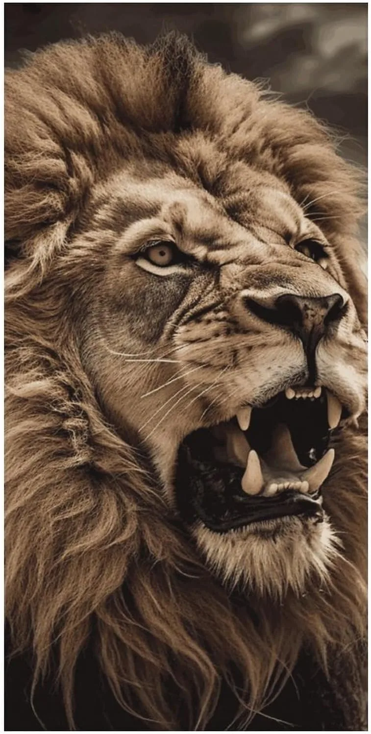 

Полотенце Majestic Lion-Print