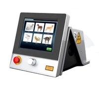 2022 therapy laser instrument pets laser therapy instrument