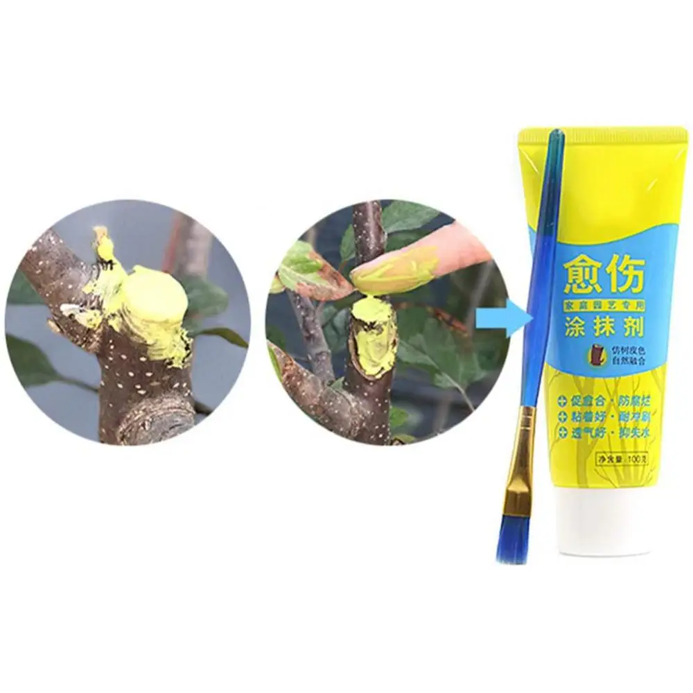 

Healing 100g Tree Wound Cut Paste Smear Agent Pruning Compound Sealer Plant Care Bonsai Rose Smear Cut Agent with Brush