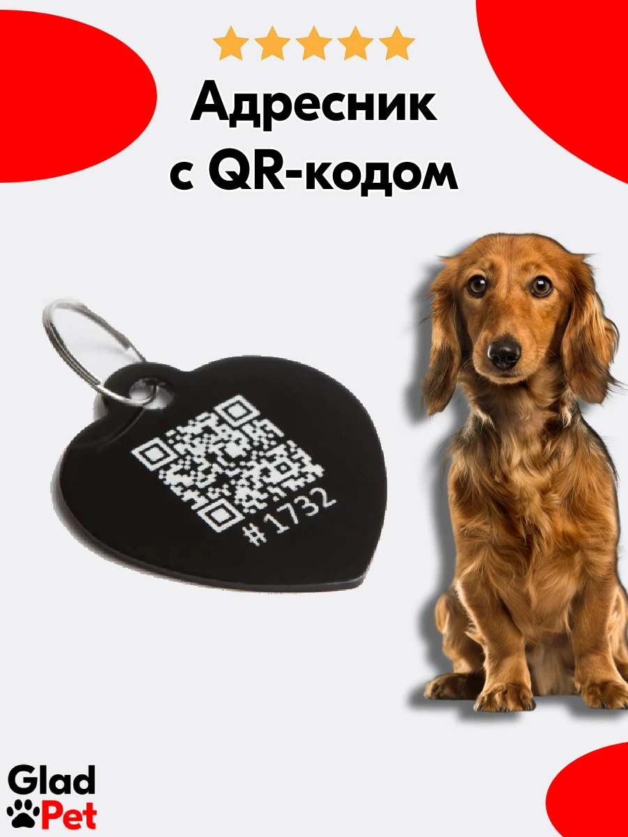 Адресник для собаки с QR кодом |
